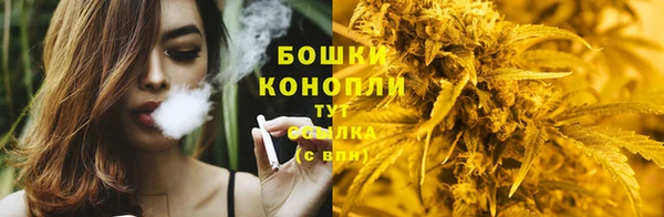 гидра Кинешма