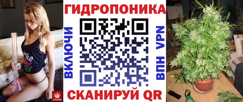 Канабис марихуана  Купить закладки  Гусиноозёрск 